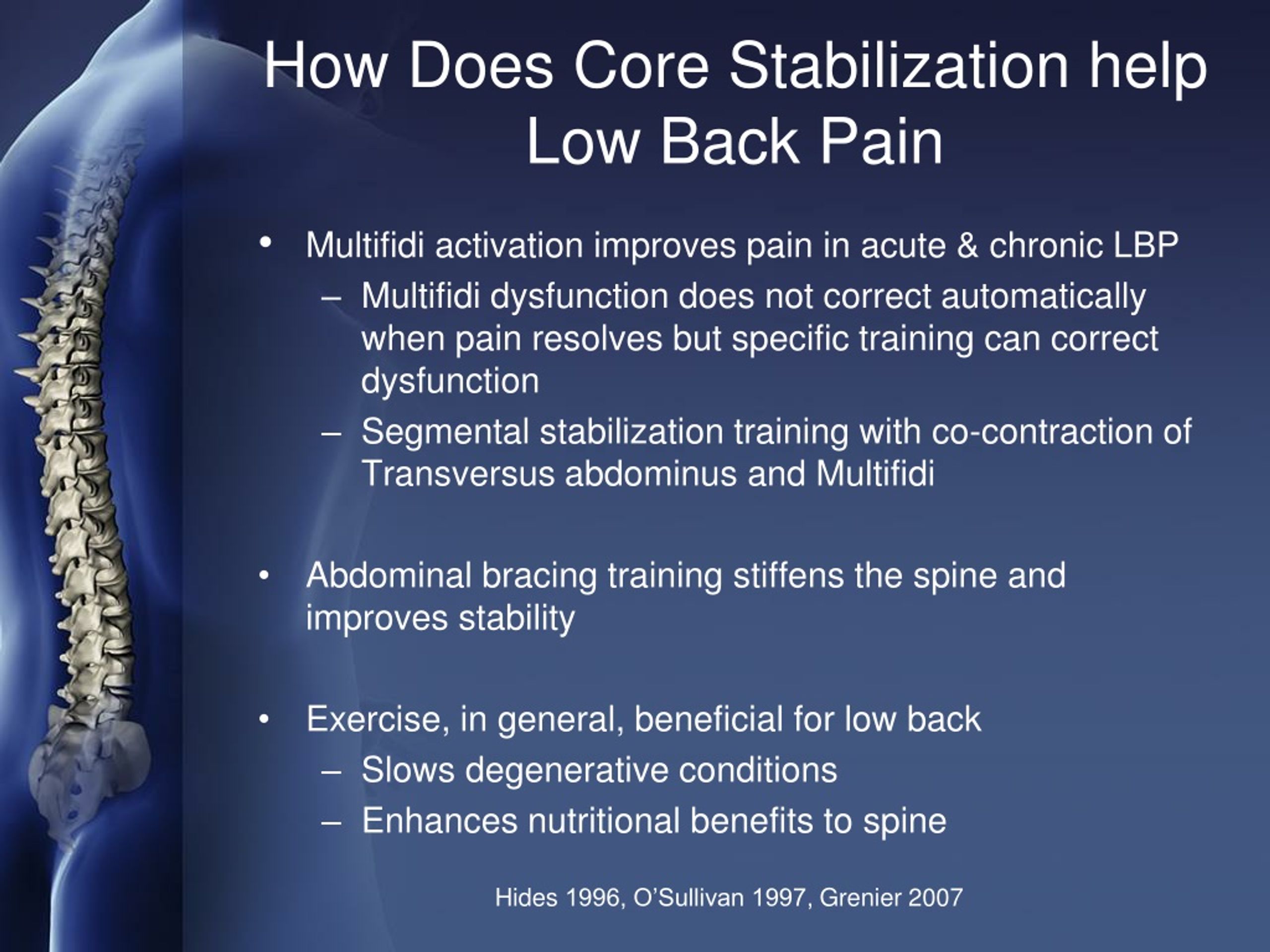 PPT - Physical Therapy Approach to Low Back Pain - PowerPoint ...