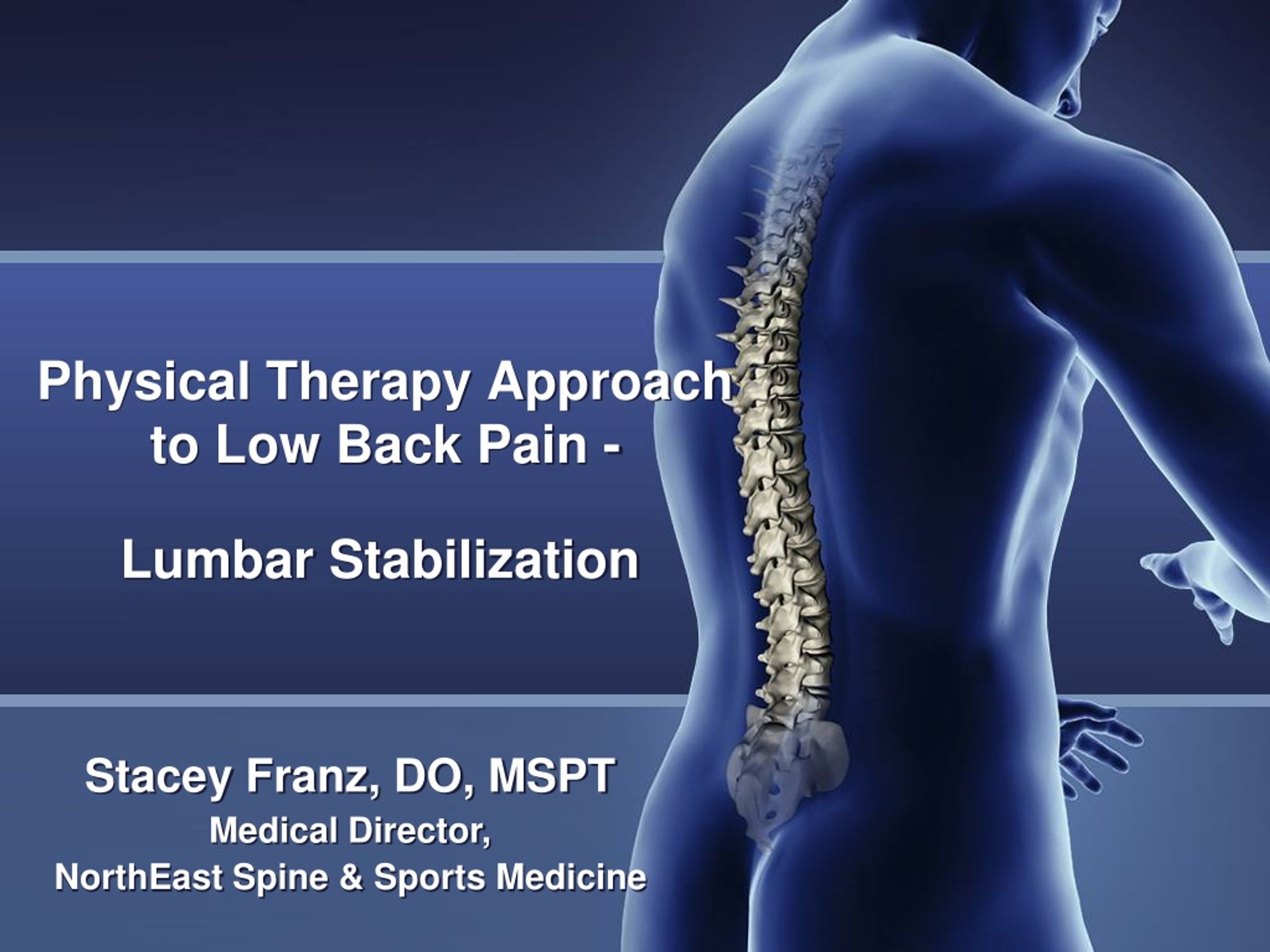 Ppt Physical Therapy Approach To Low Back Pain Powerpoint