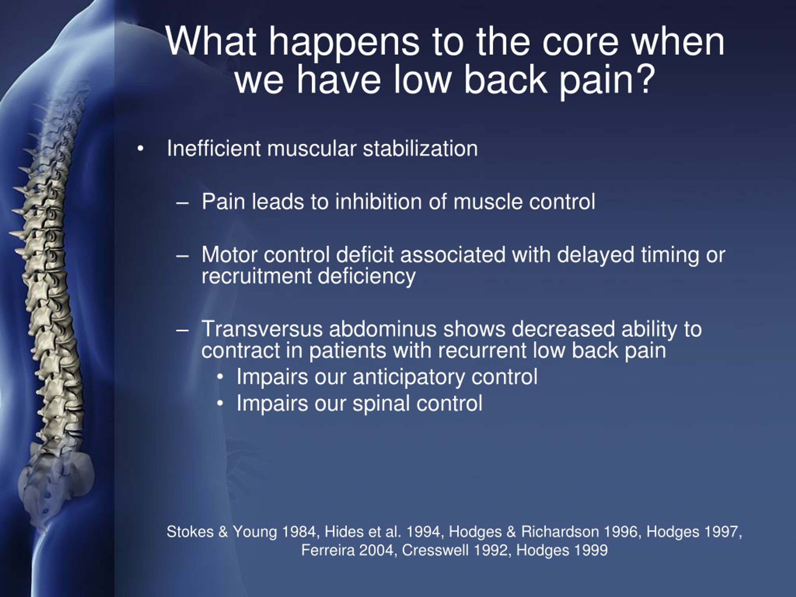 PPT - Physical Therapy Approach to Low Back Pain - PowerPoint ...