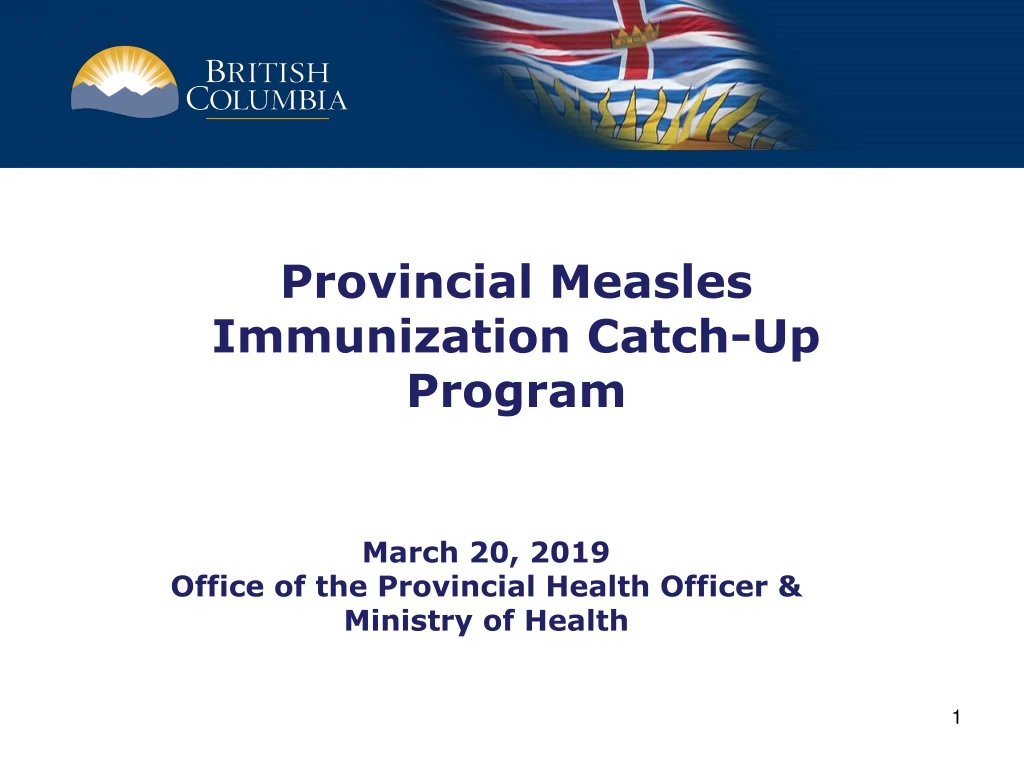 provincial measles immunization catch up program n.