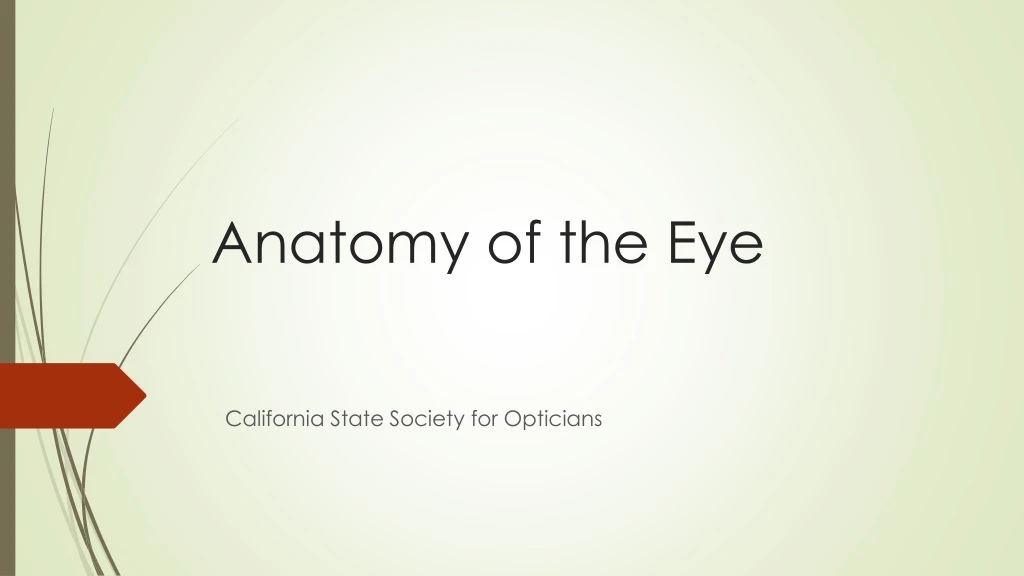 PPT - Anatomy of the Eye PowerPoint Presentation, free download - ID ...