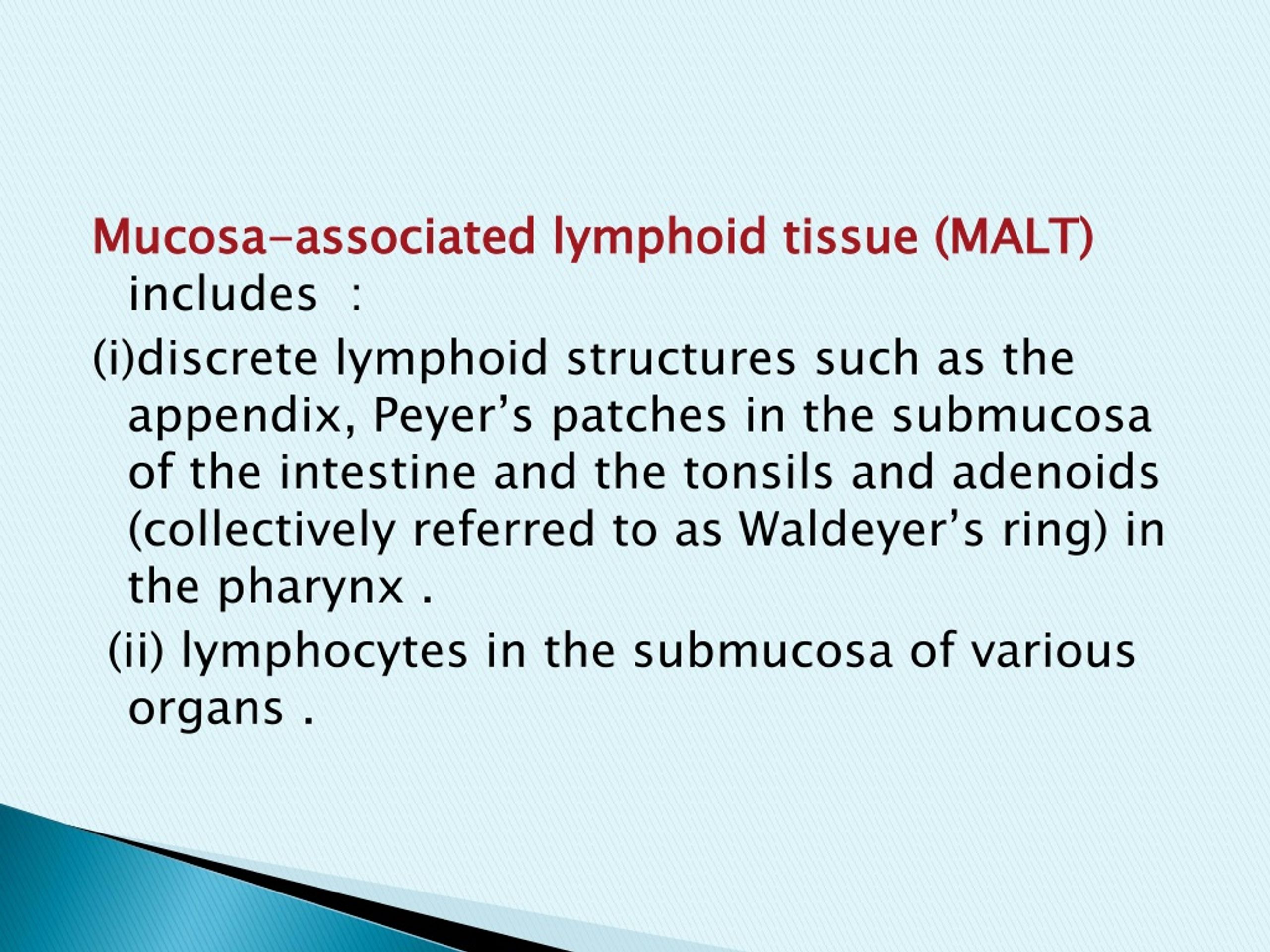 The lymphatic system 3: its role in the immune system | Nursing Times