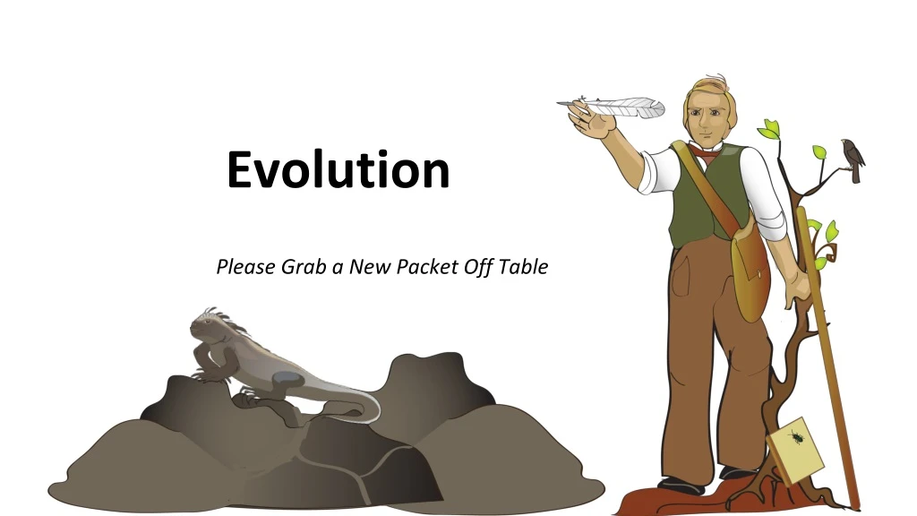 PPT - Evolution PowerPoint Presentation, Free Download - ID:8852084