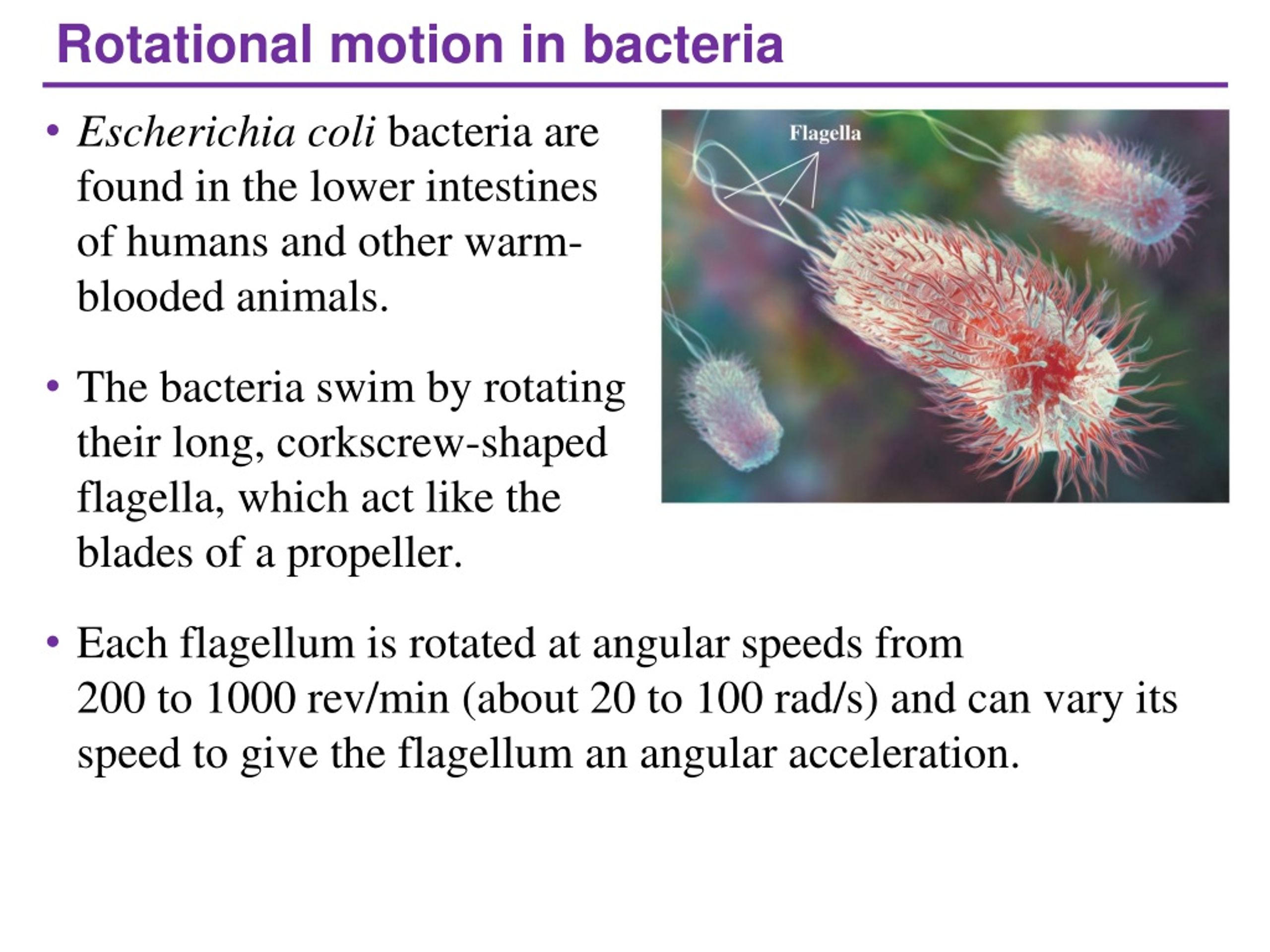 PPT - Rotational Motion PowerPoint Presentation, free download - ID:8855199