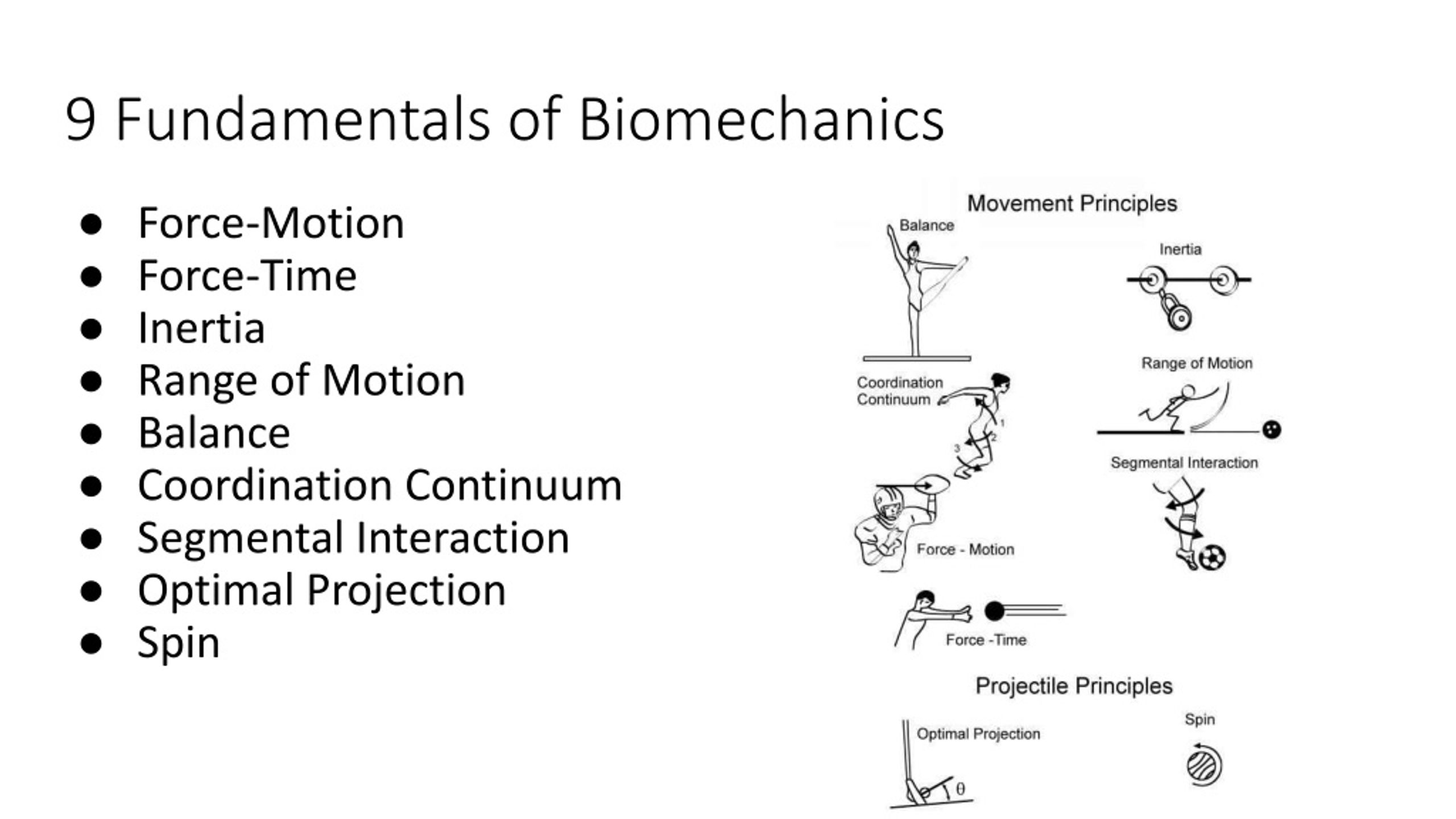 sport biomechanics phd