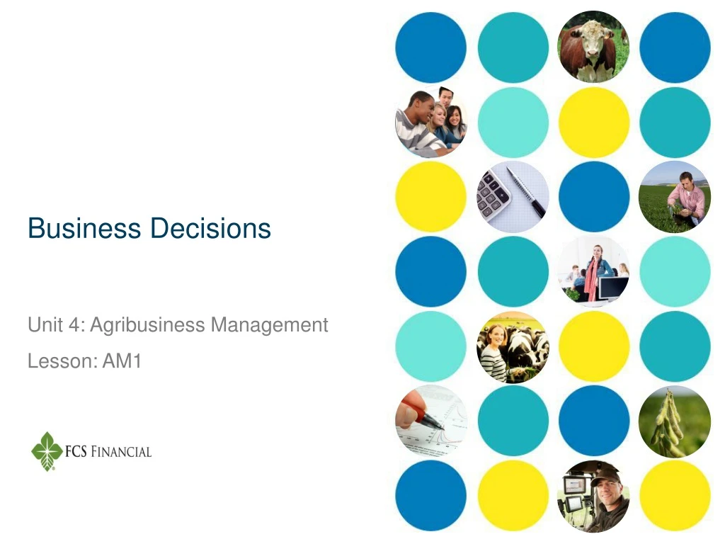 business decisions n.