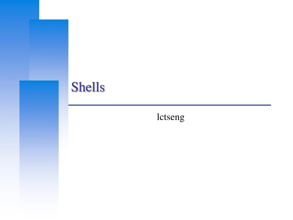 shells n.