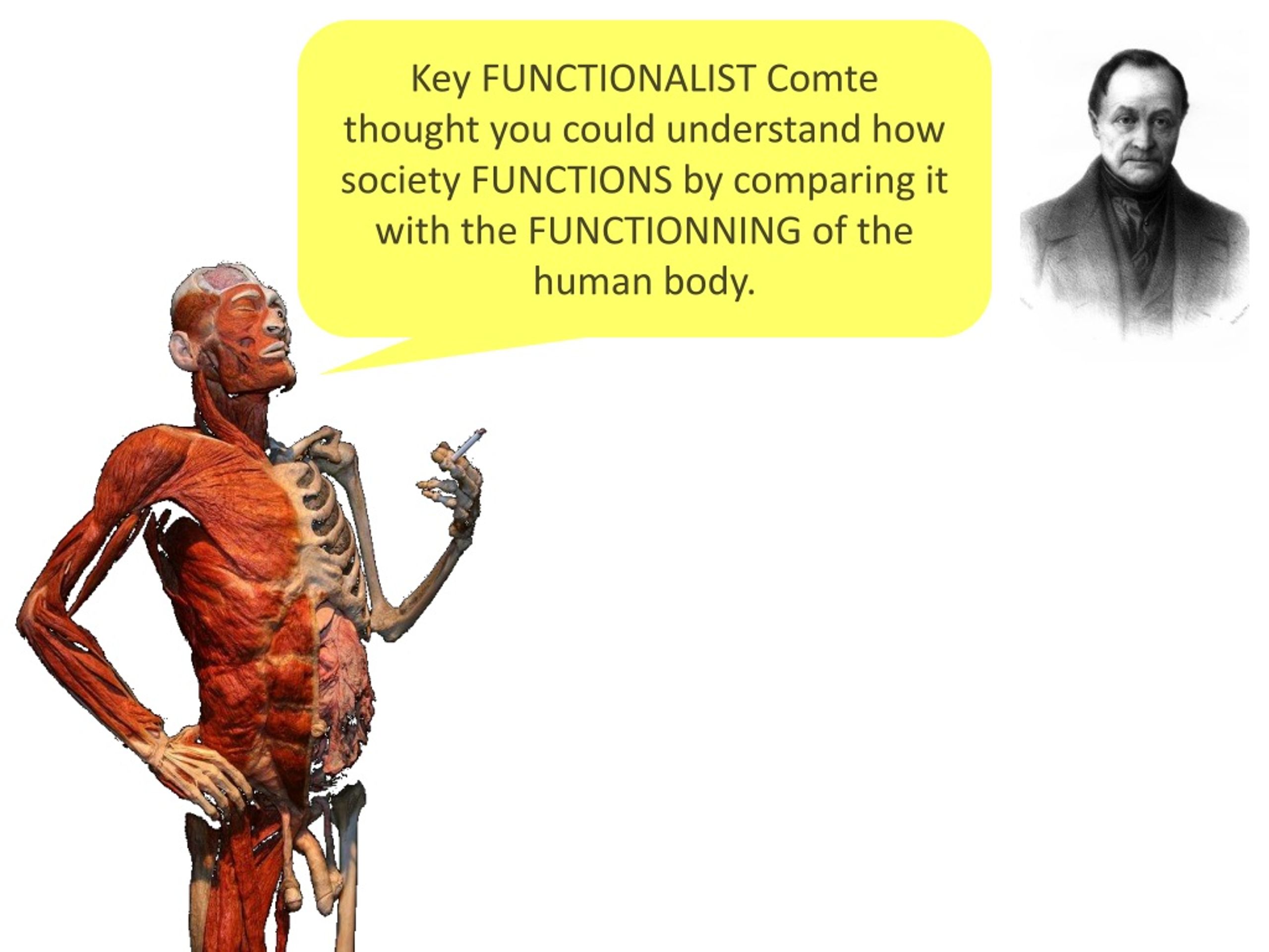 PPT Understanding Functionalism In Sociology A Structural And PPT Understanding Functionalism In Sociology A Structural And