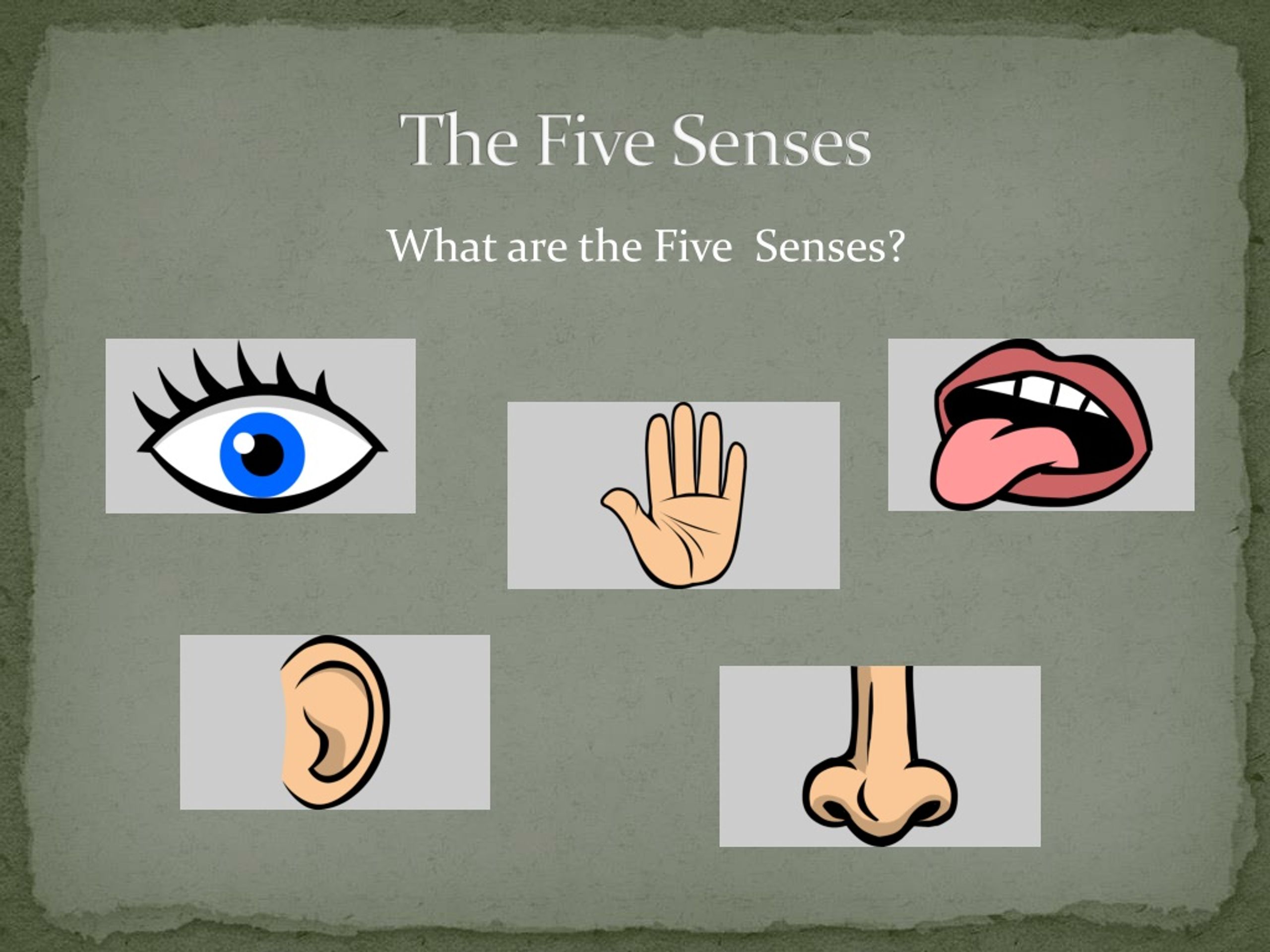 presentation on five senses