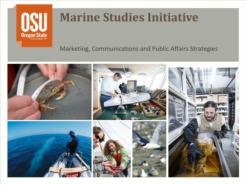 PPT - Marine Studies Initiative PowerPoint Presentation, free download ...