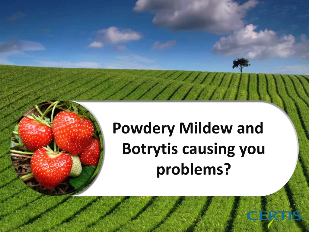 powdery mildew and botrytis causing you problems n.