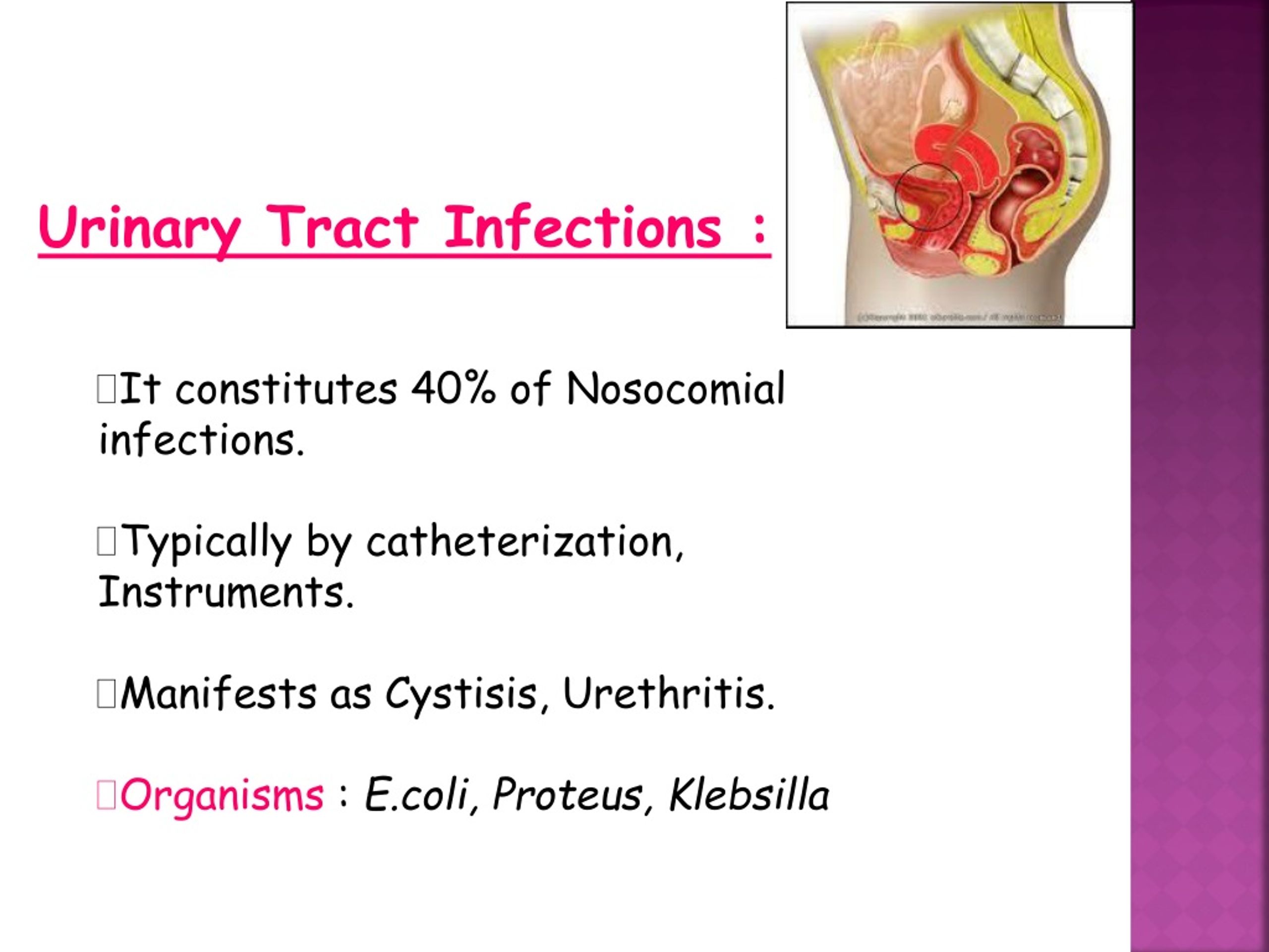 Ppt Nosocomial Infection Powerpoint Presentation Free Download Id