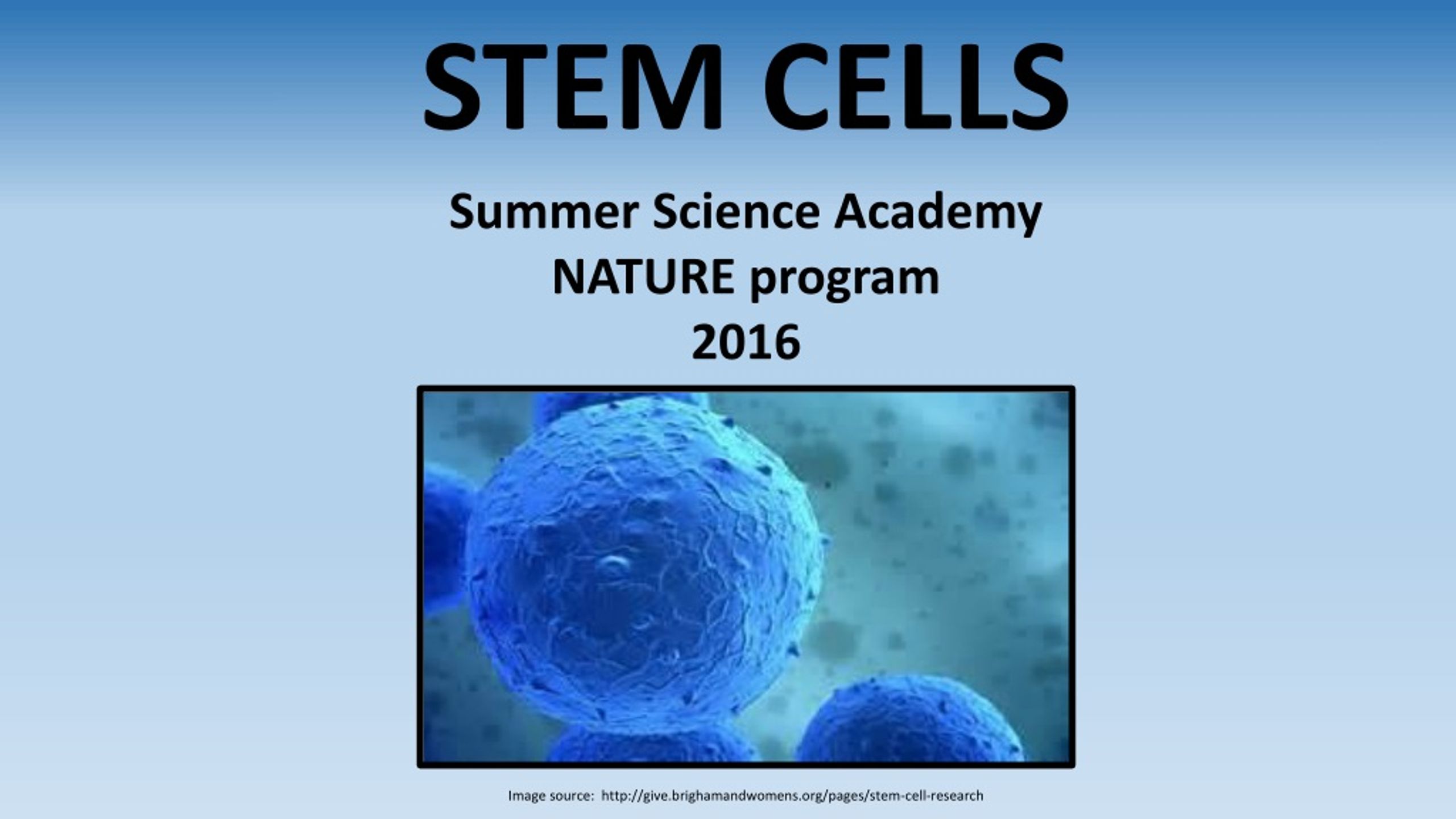 ppt-stem-cells-powerpoint-presentation-free-download-id-8869192
