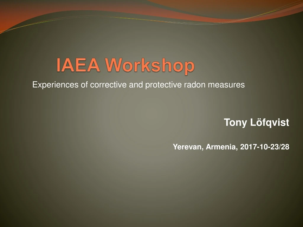iaea workshop n.