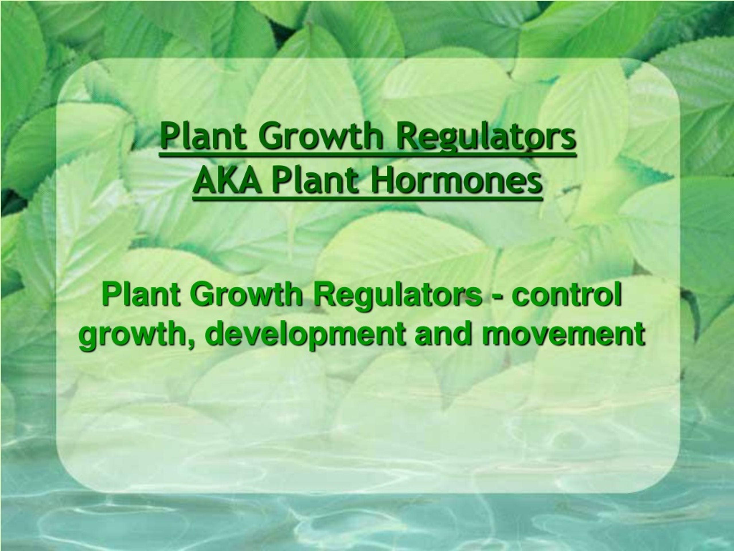 PPT PLANT GROWTH REGULATORS PowerPoint Presentation, free download