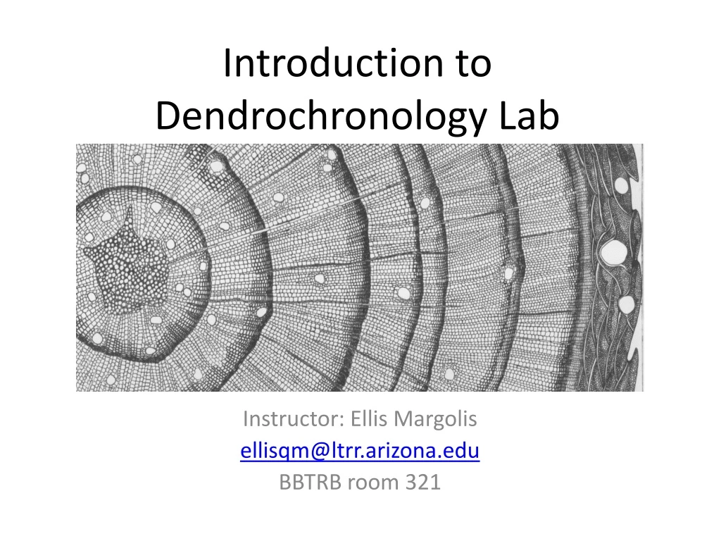 introduction to dendrochronology lab n.