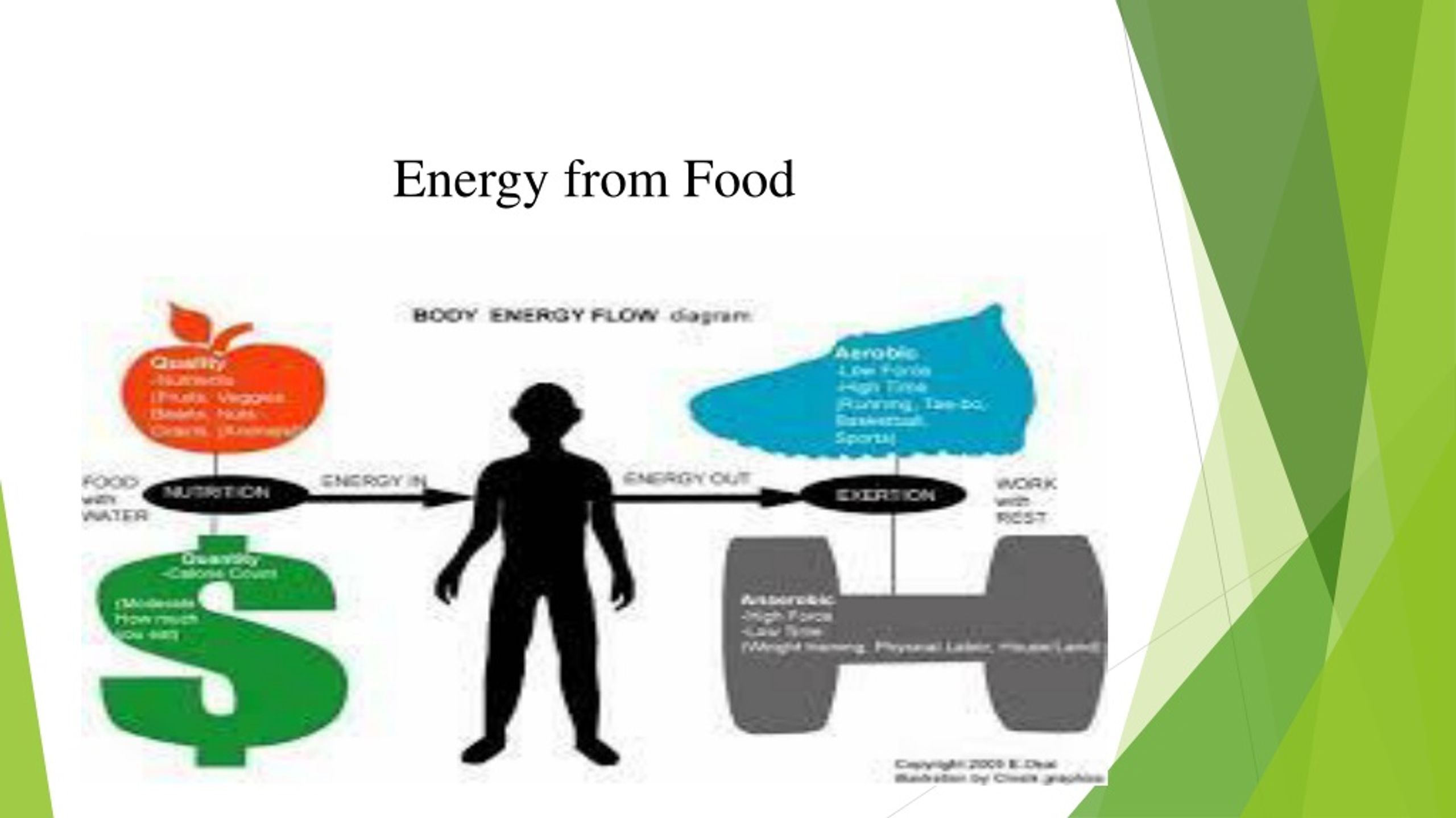 PPT Energy from Food PowerPoint Presentation, free download ID8879494