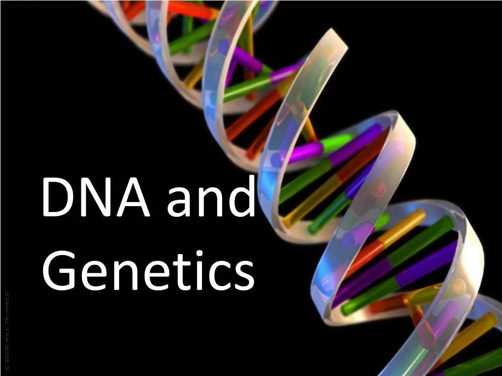 PPT - DNA and Genetics PowerPoint Presentation, free download - ID:8882511