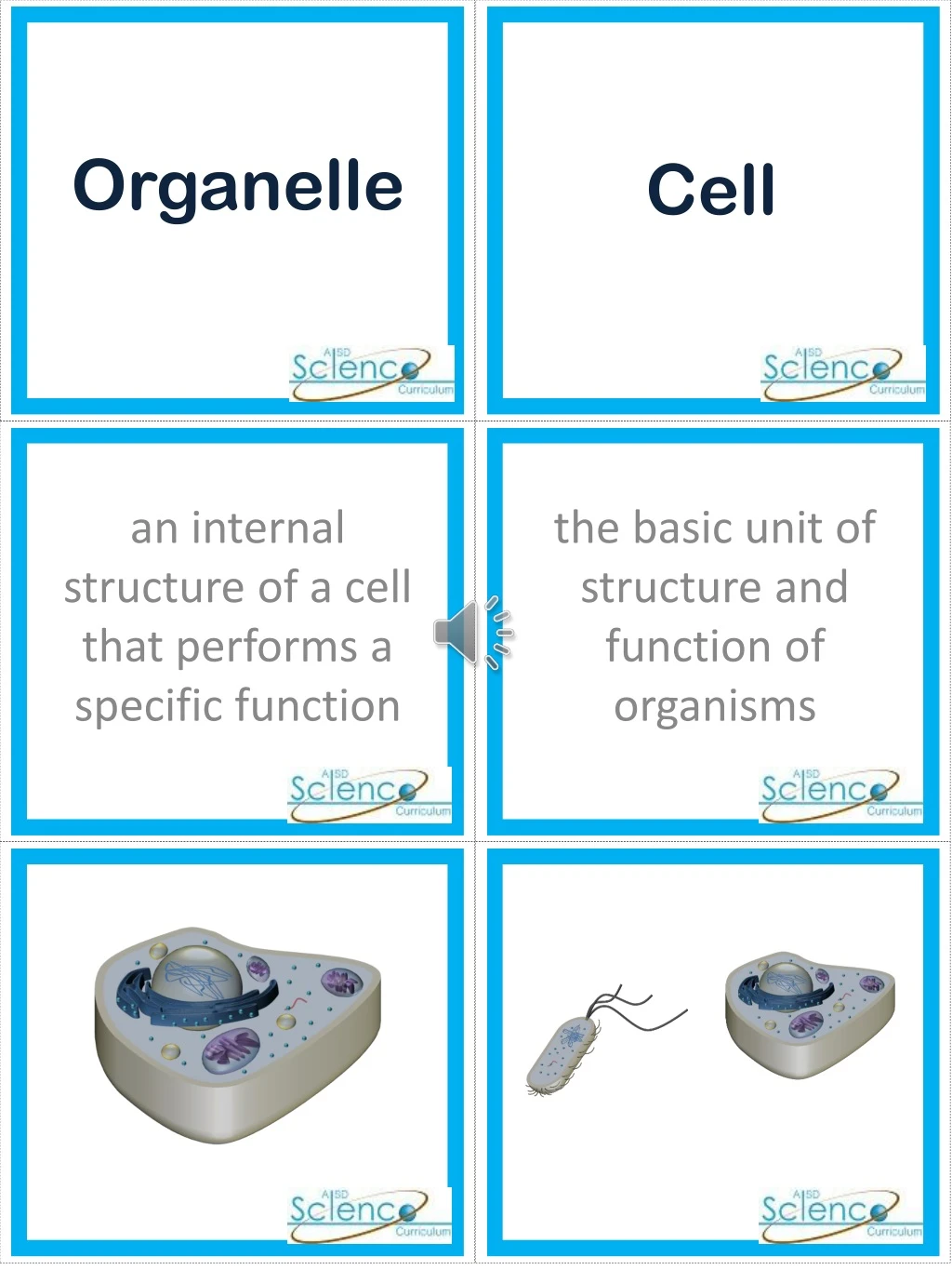 organelle n.