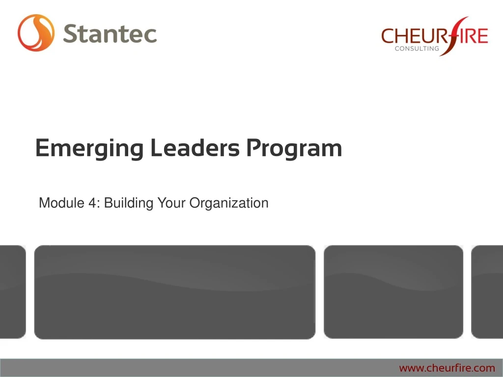 emerging leaders program n.