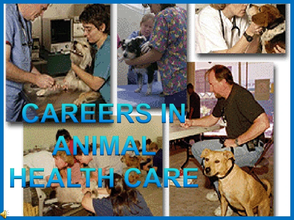 careers in animal health care n.