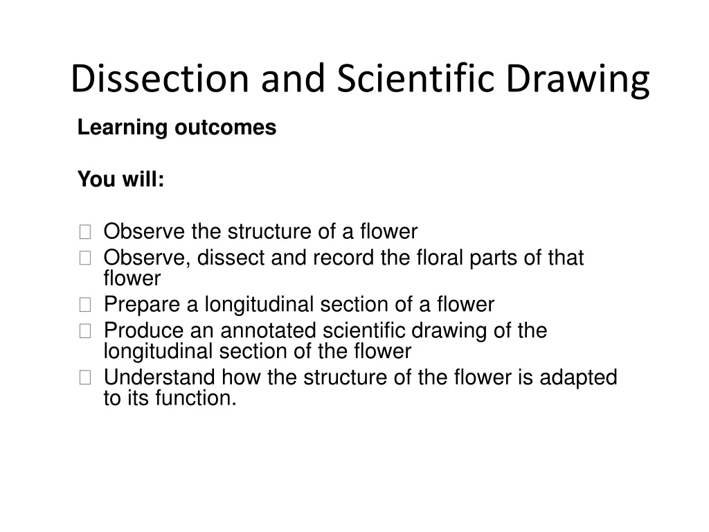 PPT Dissection and Scientific Drawing PowerPoint Presentation, free