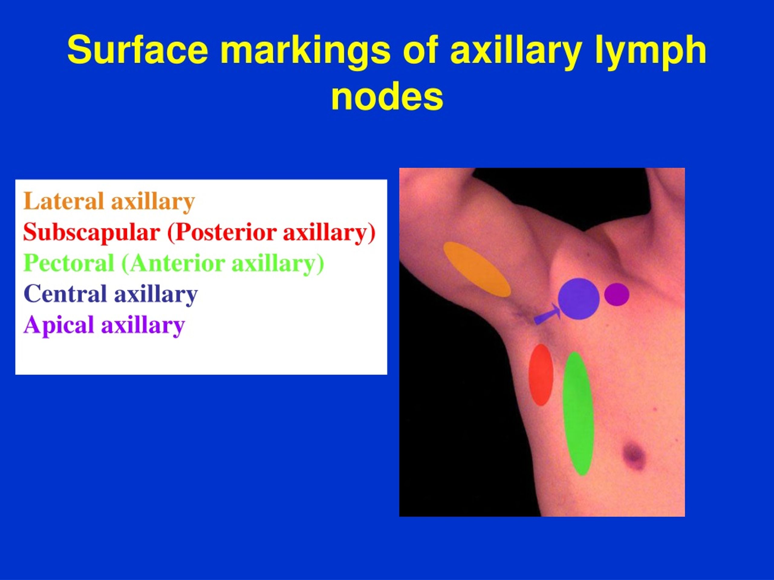 shotty lymph nodes on palpation