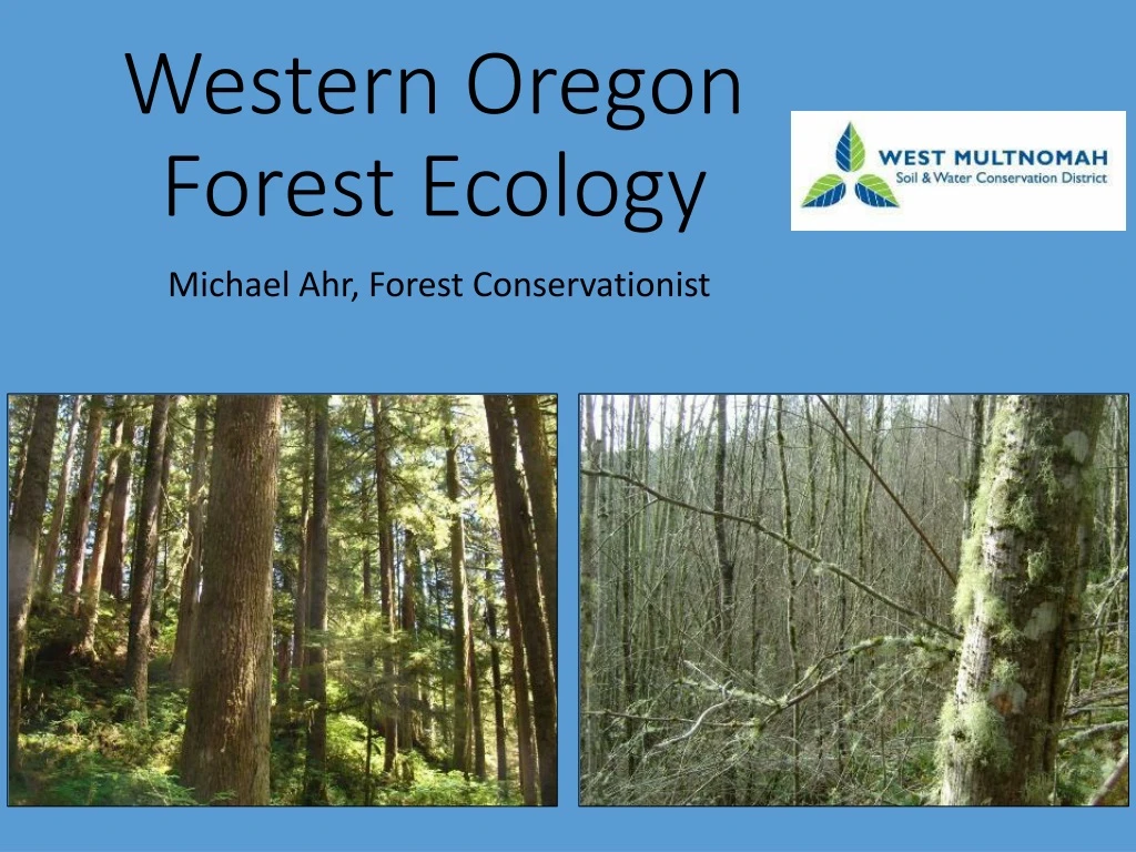 Ppt - Western Oregon Forest Ecology Powerpoint Presentation, Free 