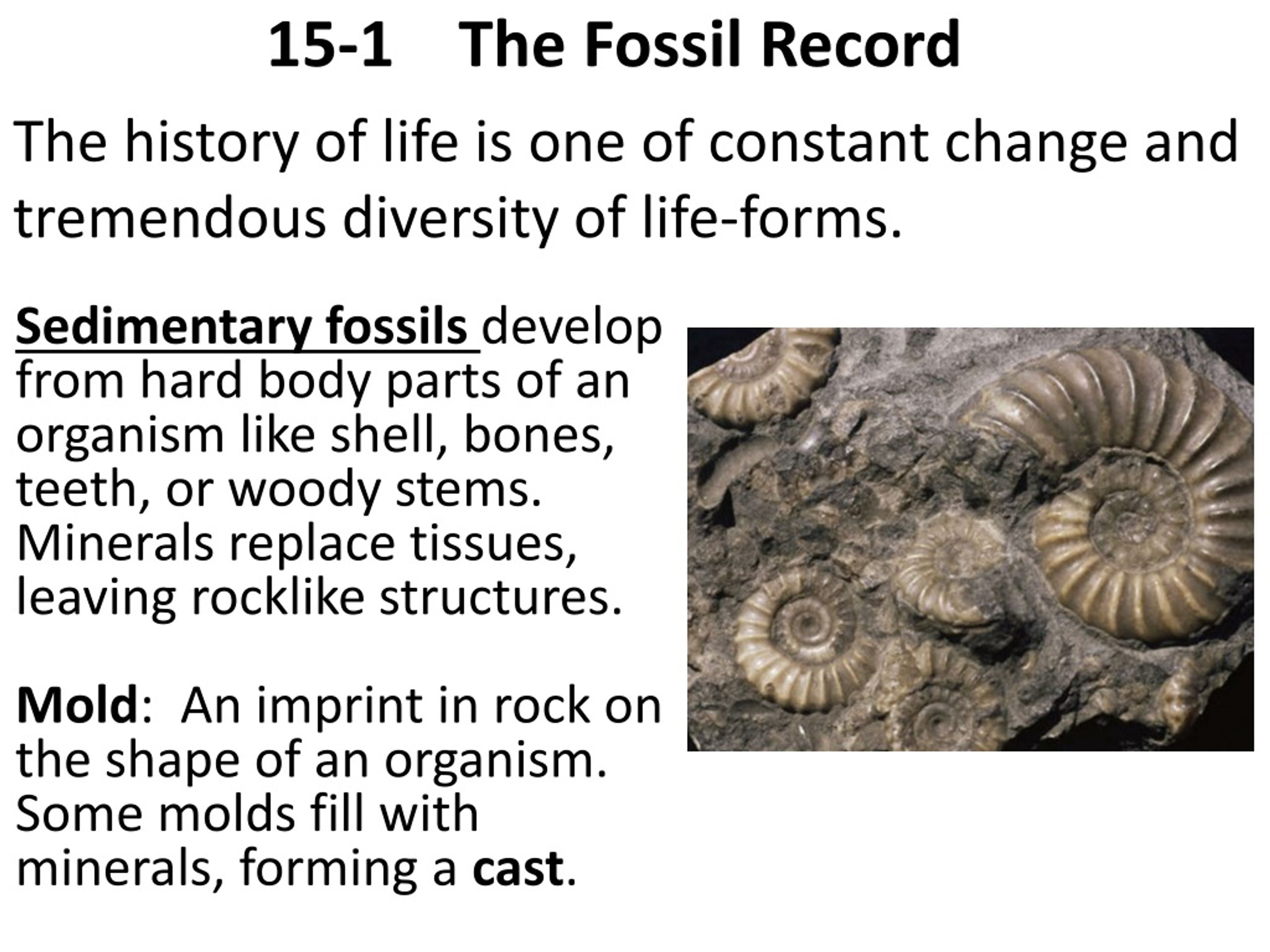 PPT - 15-1 The Fossil Record PowerPoint Presentation, free download ...