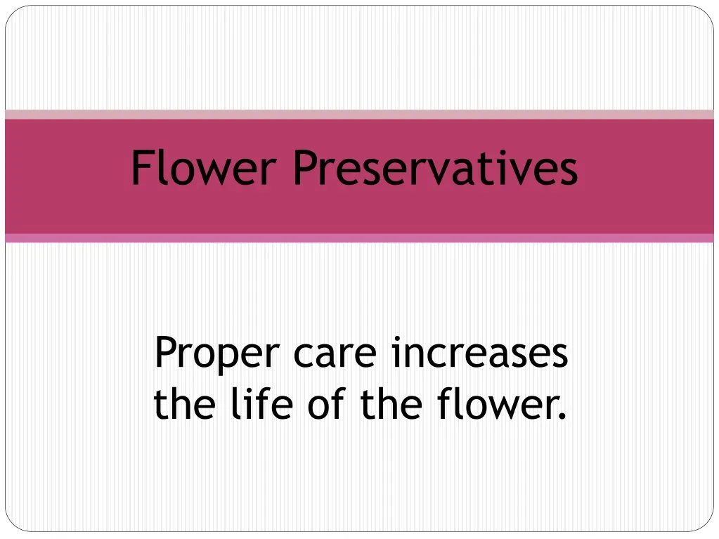 PPT Flower Preservatives PowerPoint Presentation, free download ID