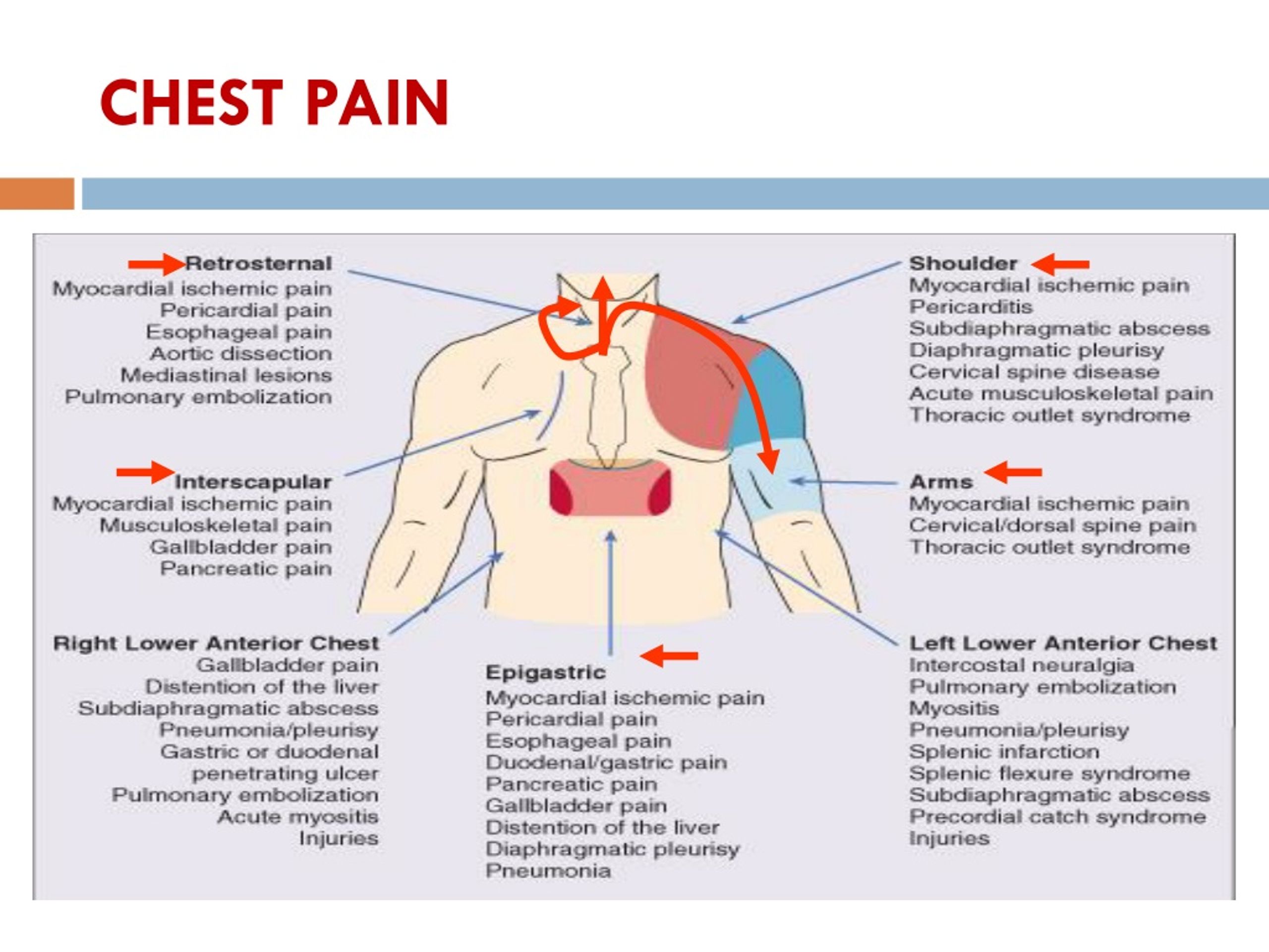 PPT - CHEST PAIN PowerPoint Presentation, free download - ID:8912424