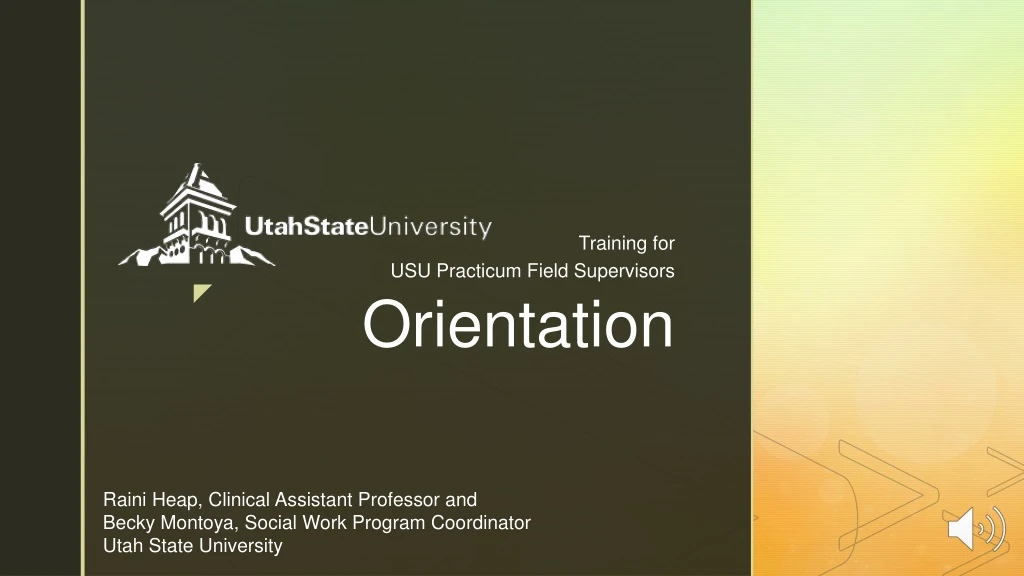training for usu practicum field supervisors n.