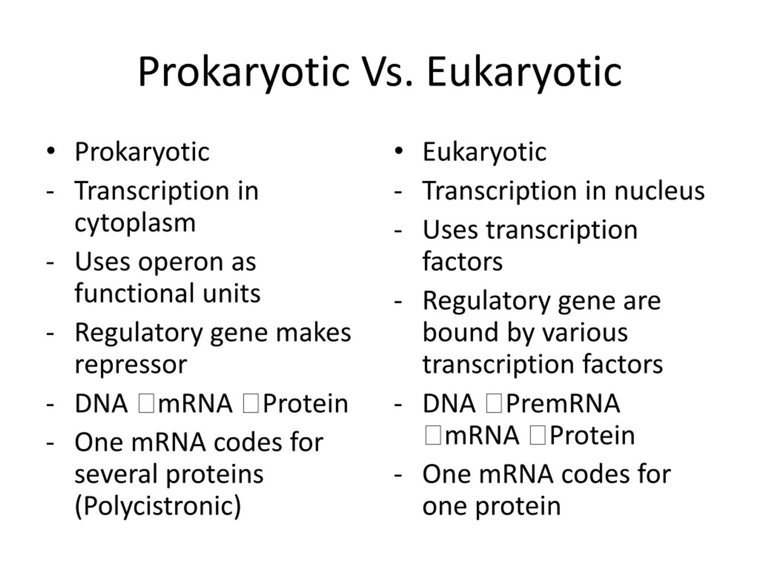 PPT - Regulation of Gene Expression by Eukaryotes PowerPoint ...