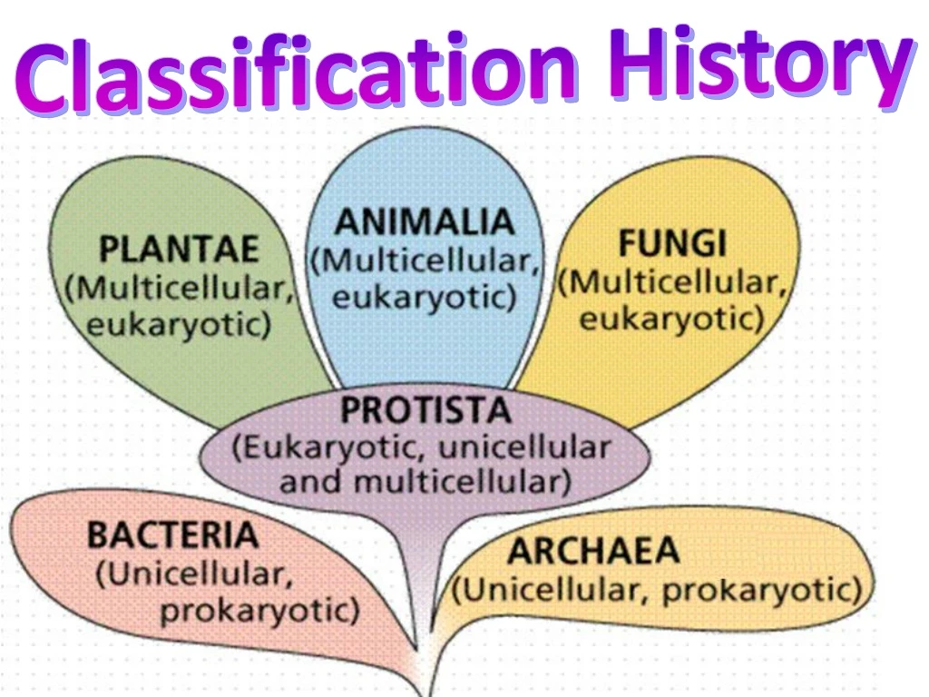 PPT - Classification History PowerPoint Presentation, free download ...