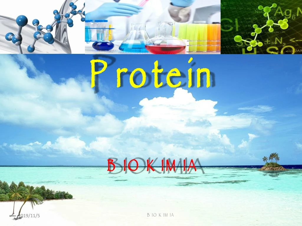 PPT - BIOKIMIA PowerPoint Presentation, Free Download - ID:8921113