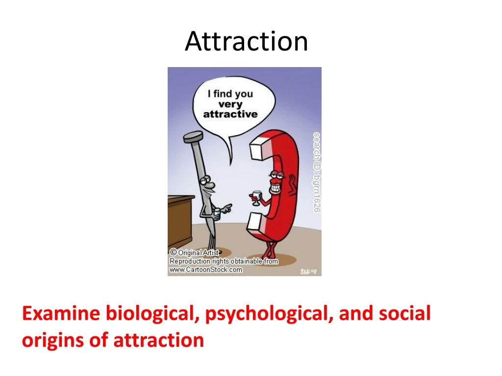 attraction n.