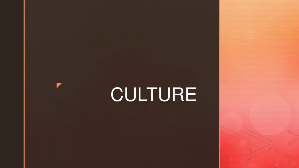 culture n.