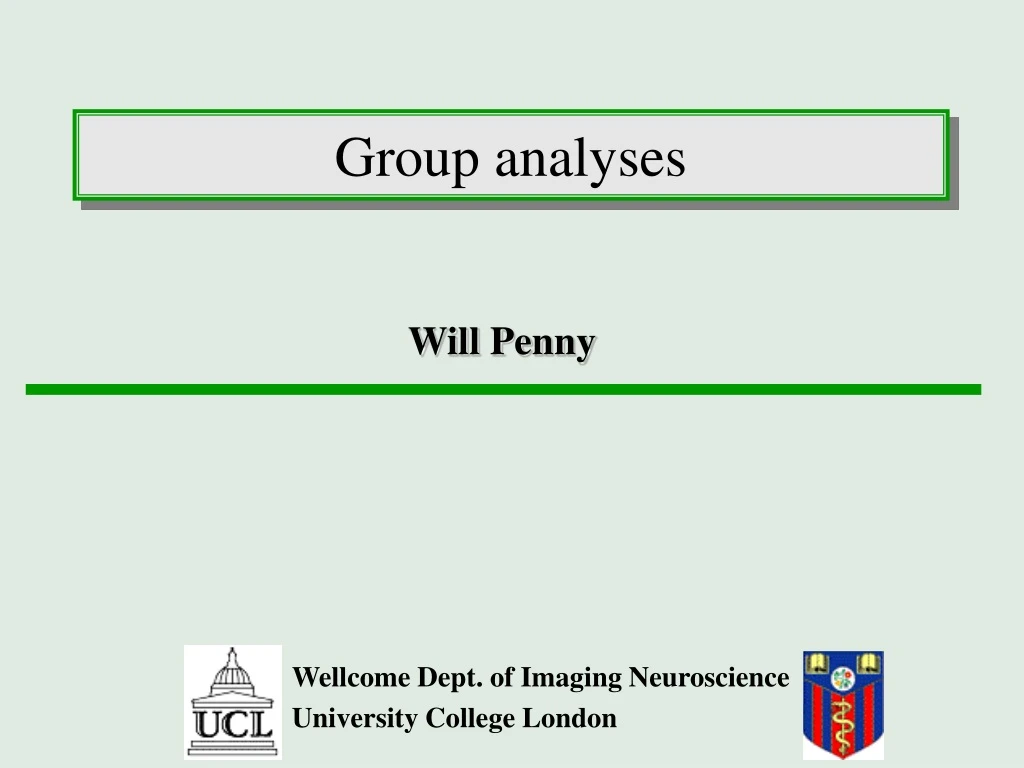 group analyses n.