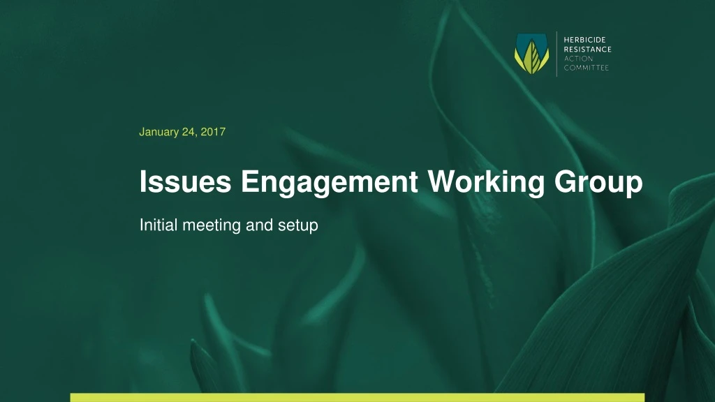 issues engagement working group n.