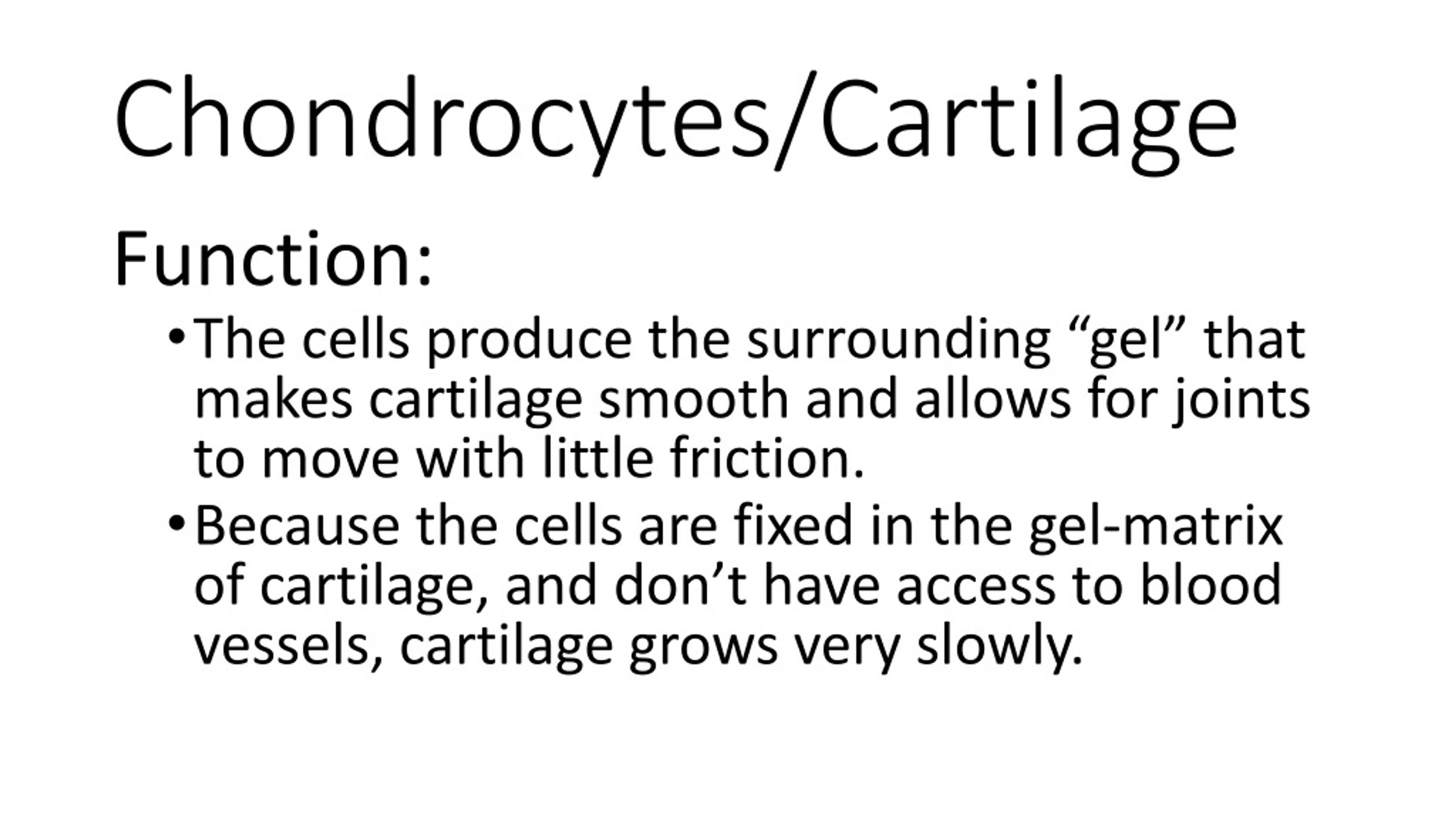 PPT Functions of the Skeletal System PowerPoint Presentation, free download ID8927342