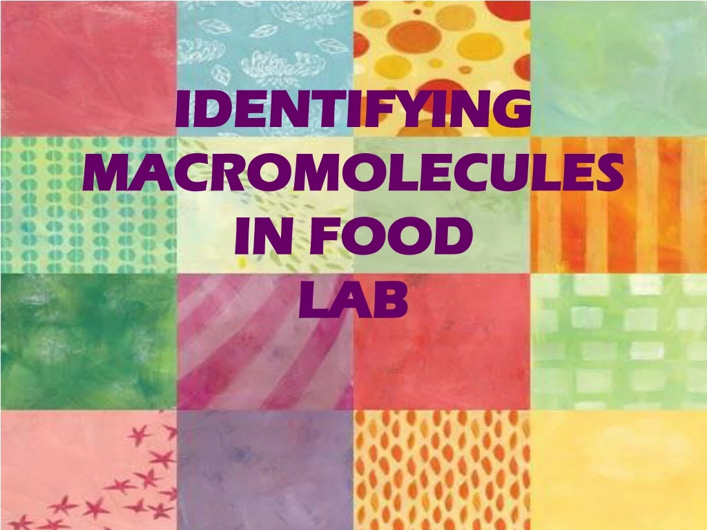 identifying macromolecules in food lab n.