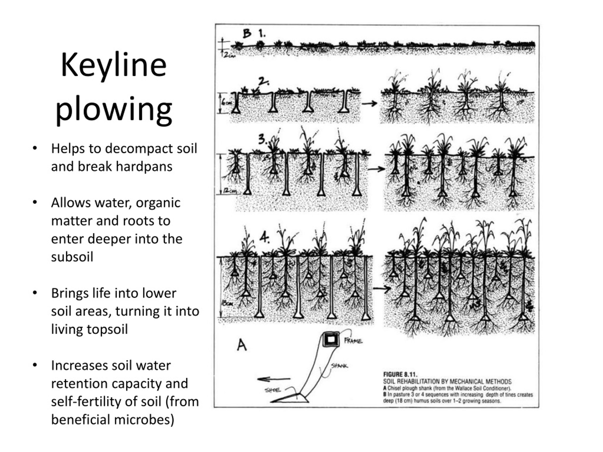 PPT Keyline Design PowerPoint Presentation, free download ID8932955