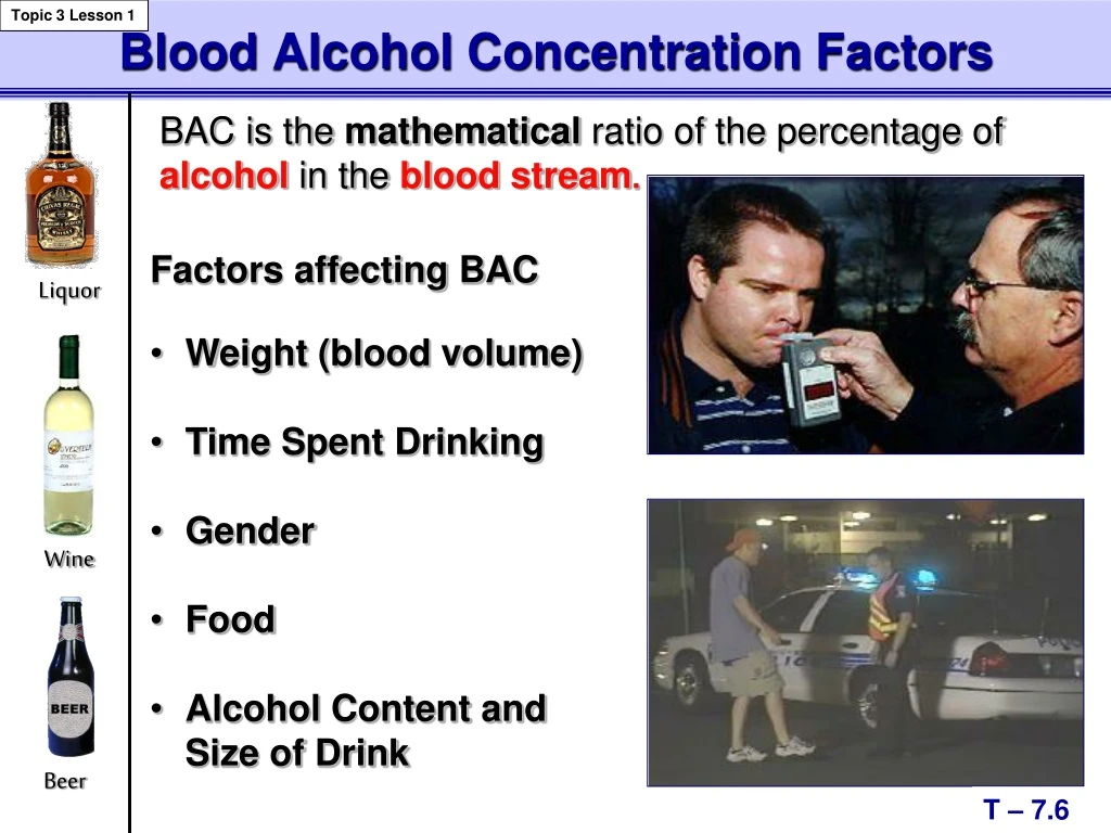 essay on blood alcohol concentration