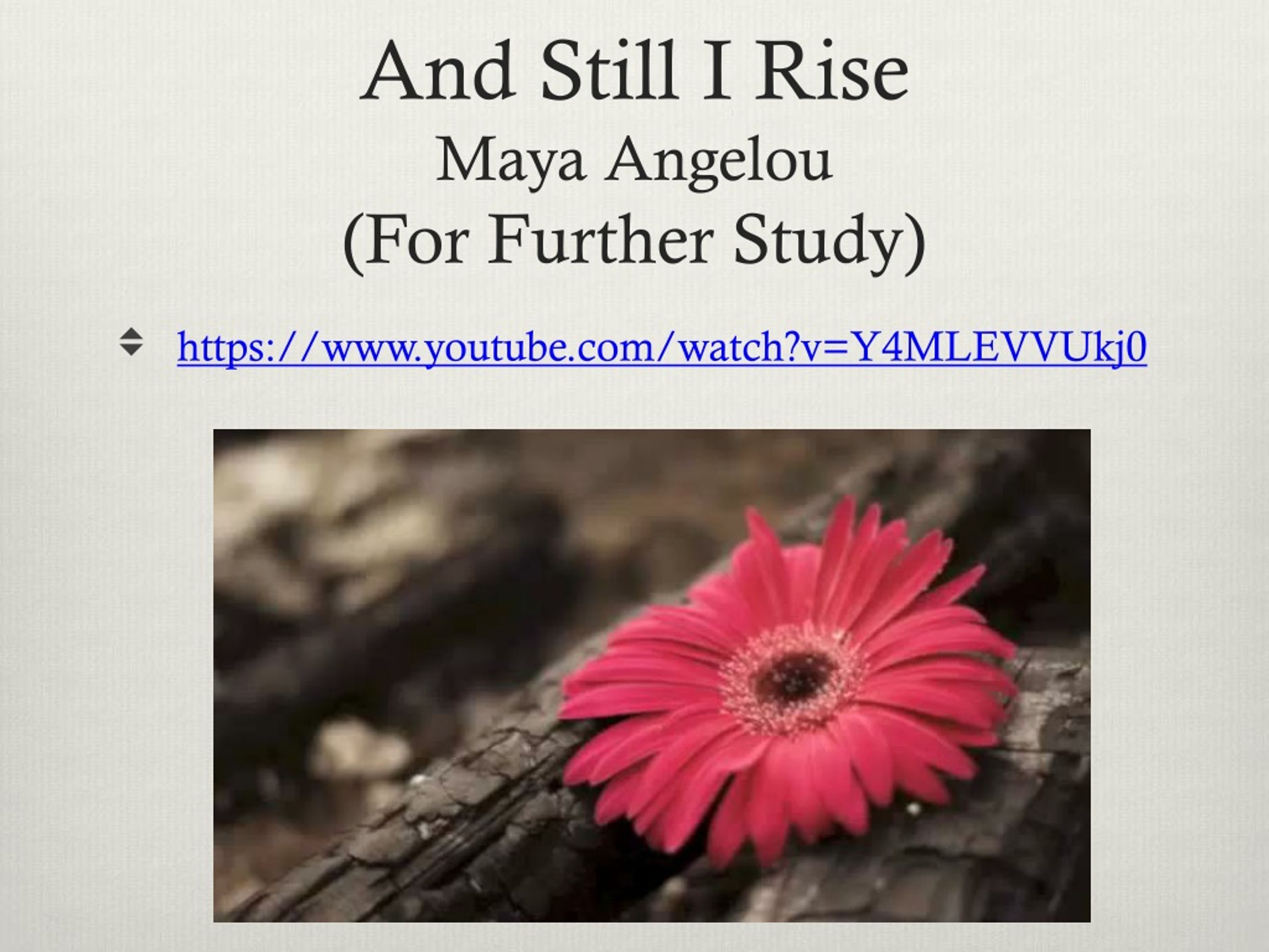 Ppt Maya Angelou Powerpoint Presentation Free Download Id 8937479