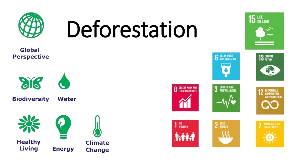deforestation n.