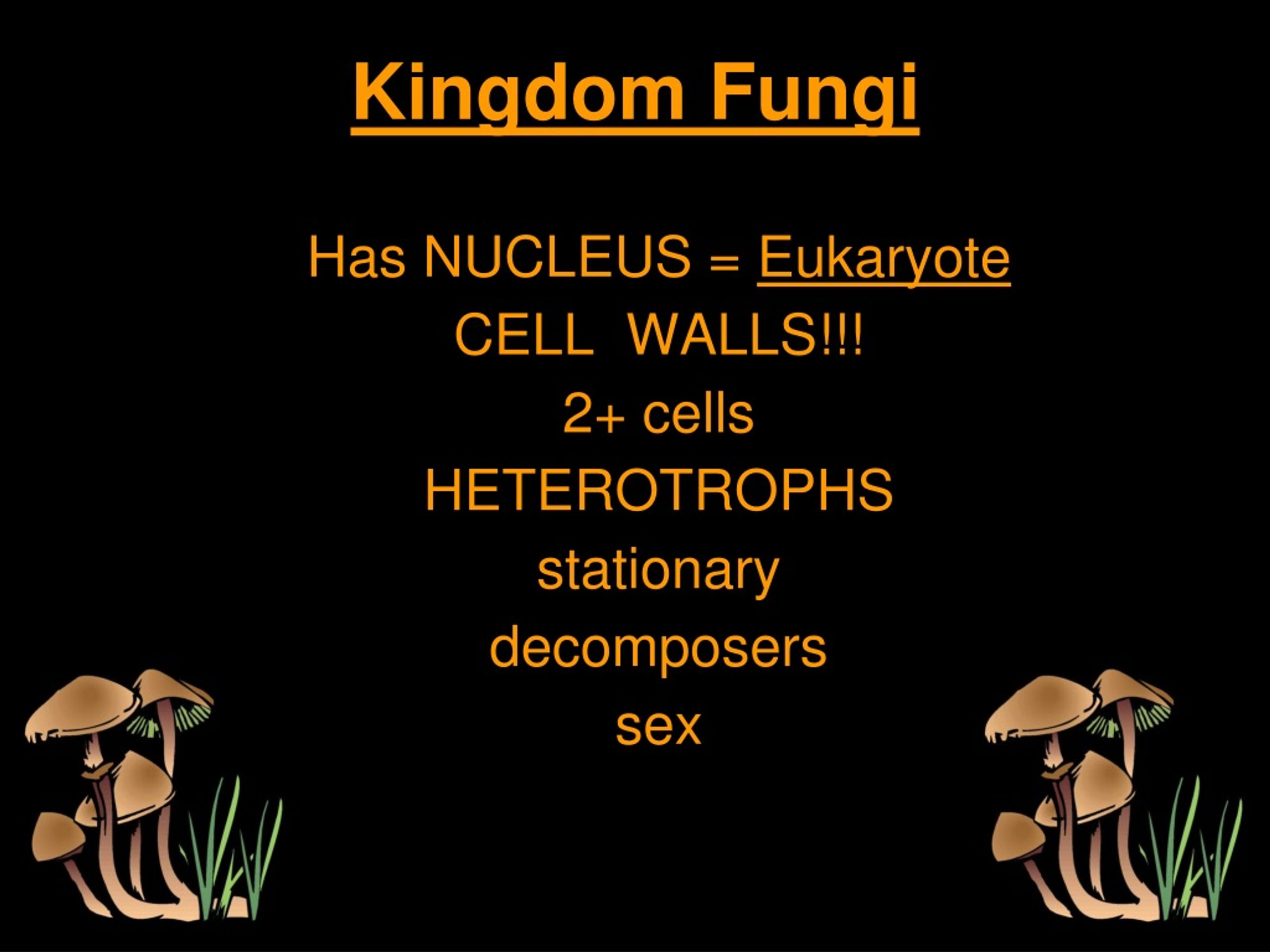 Ppt Bio C Lassification Aka “classification” Powerpoint Presentation Id8941319 