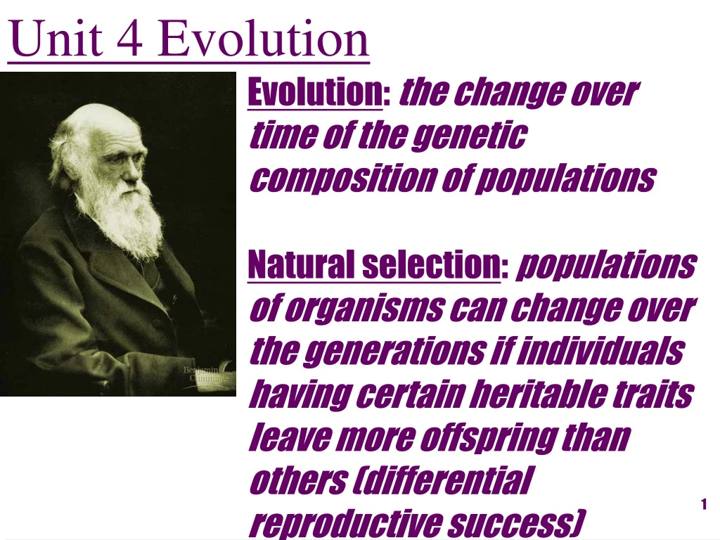 PPT - Unit 4 Evolution PowerPoint Presentation, free download - ID:8943252