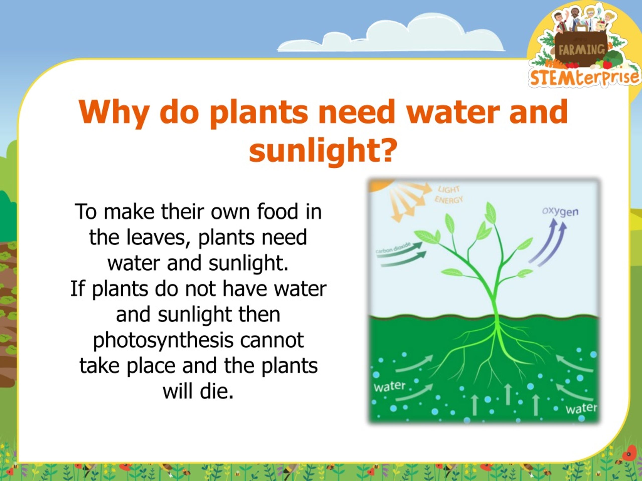 PPT - Stage 5 : Investigating the requirements of plants for life and ...