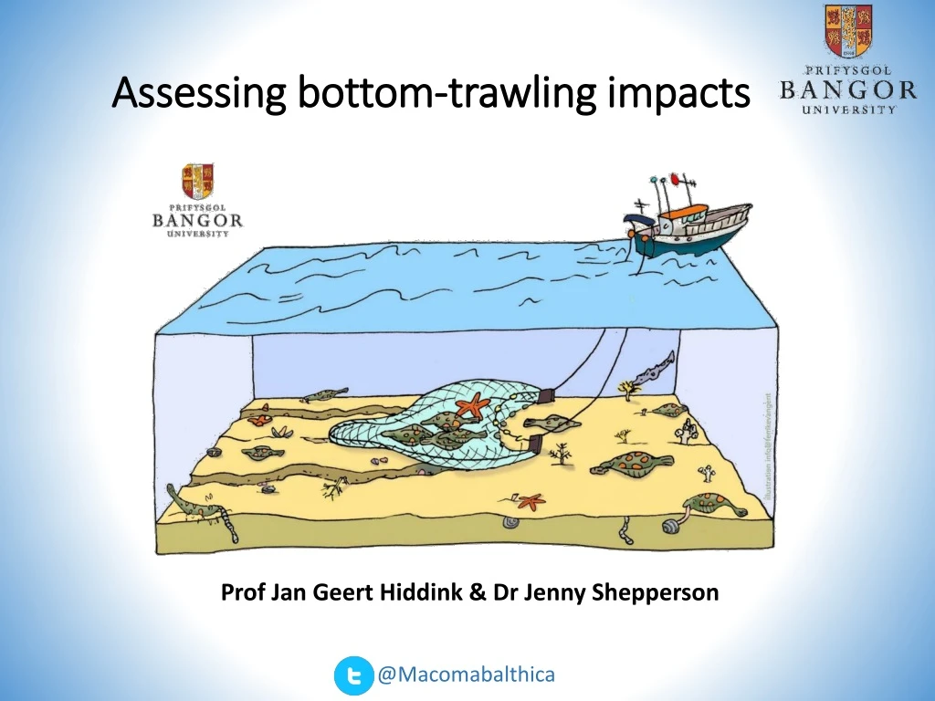 assessing bottom trawling impacts n.