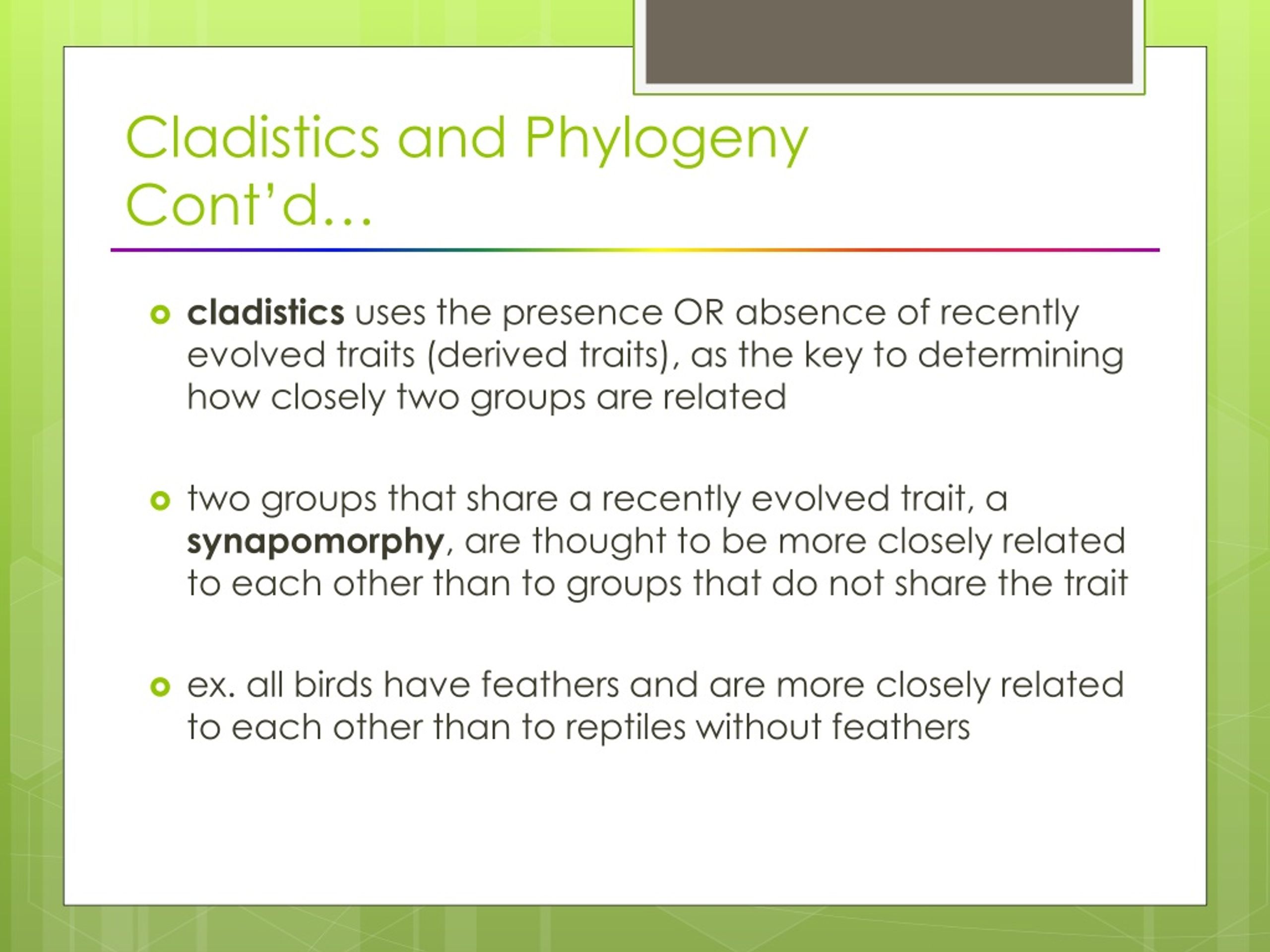 PPT - Cladistics And Phylogeny PowerPoint Presentation, Free Download ...